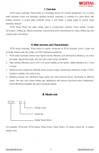 WTM travel motor p1